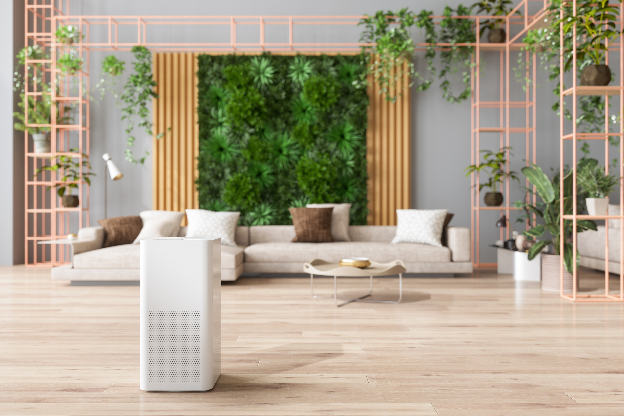 A clean indoor space with an air purifier visible